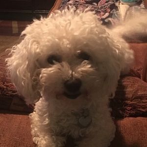 Meet your Posher, Lisa